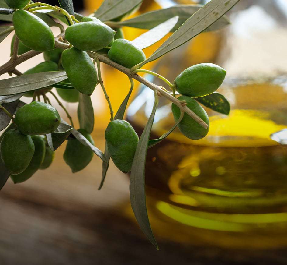 Extra light taste olive oil