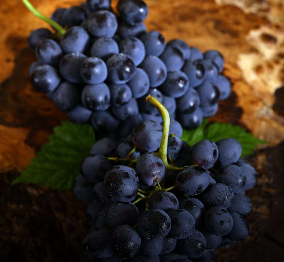 Balsamic Vinegar of Modena Food Service